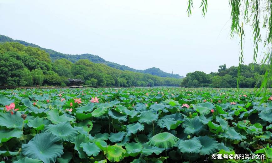 久久精品国产久精国产:洪湖东分块最新消息,洪湖东分块最新消息，久久精品国产久精国产的崛起与发展