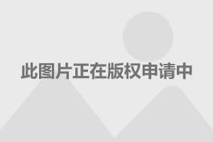 午夜性999性久久久久:大众帕萨特最新款2019,午夜性999与大众帕萨特最新款2019，深度解析与比较探讨