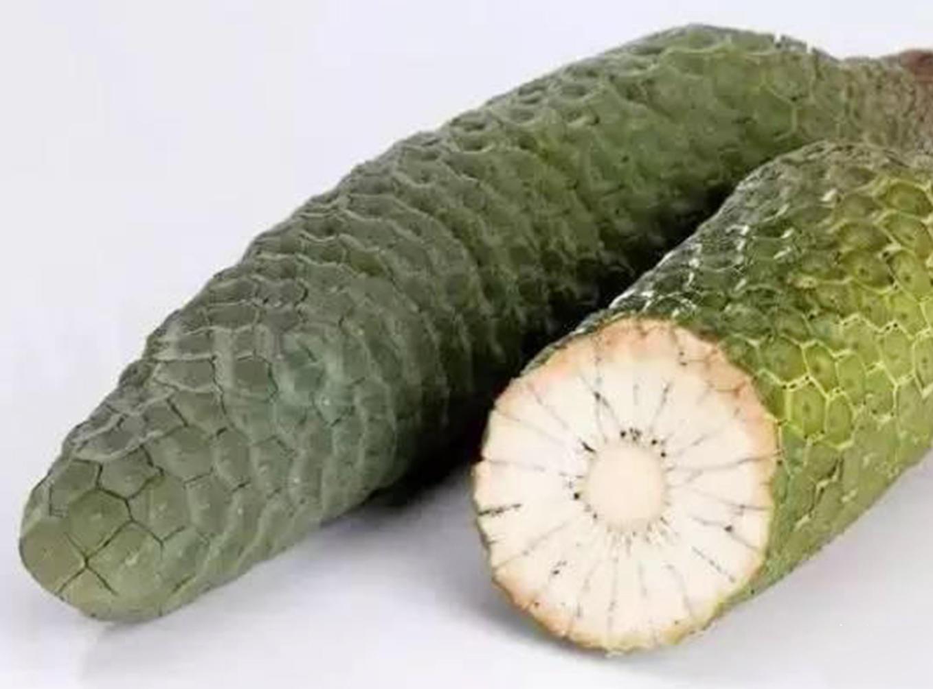 99久久精品视香蕉蕉:02-04-09-15-41-48S：14,探索99久久精品视香蕉蕉的独特魅力，一场时间与空间的奇幻之旅