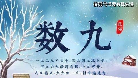 九九99久久精品综合:03-07-11-26-27-31B：02,九九99久久精品综合，探索数字背后的深层意义与独特价值