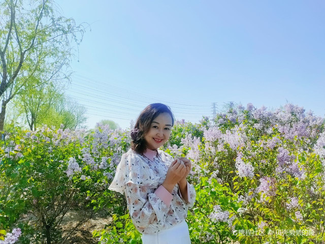 激情综合婷婷丁香五月:05-06-13-17-24-45V：20,激情综合婷婷丁香五月，一场时空交织的诗意之旅 05-06-13-17-24-45V的诗意绽放