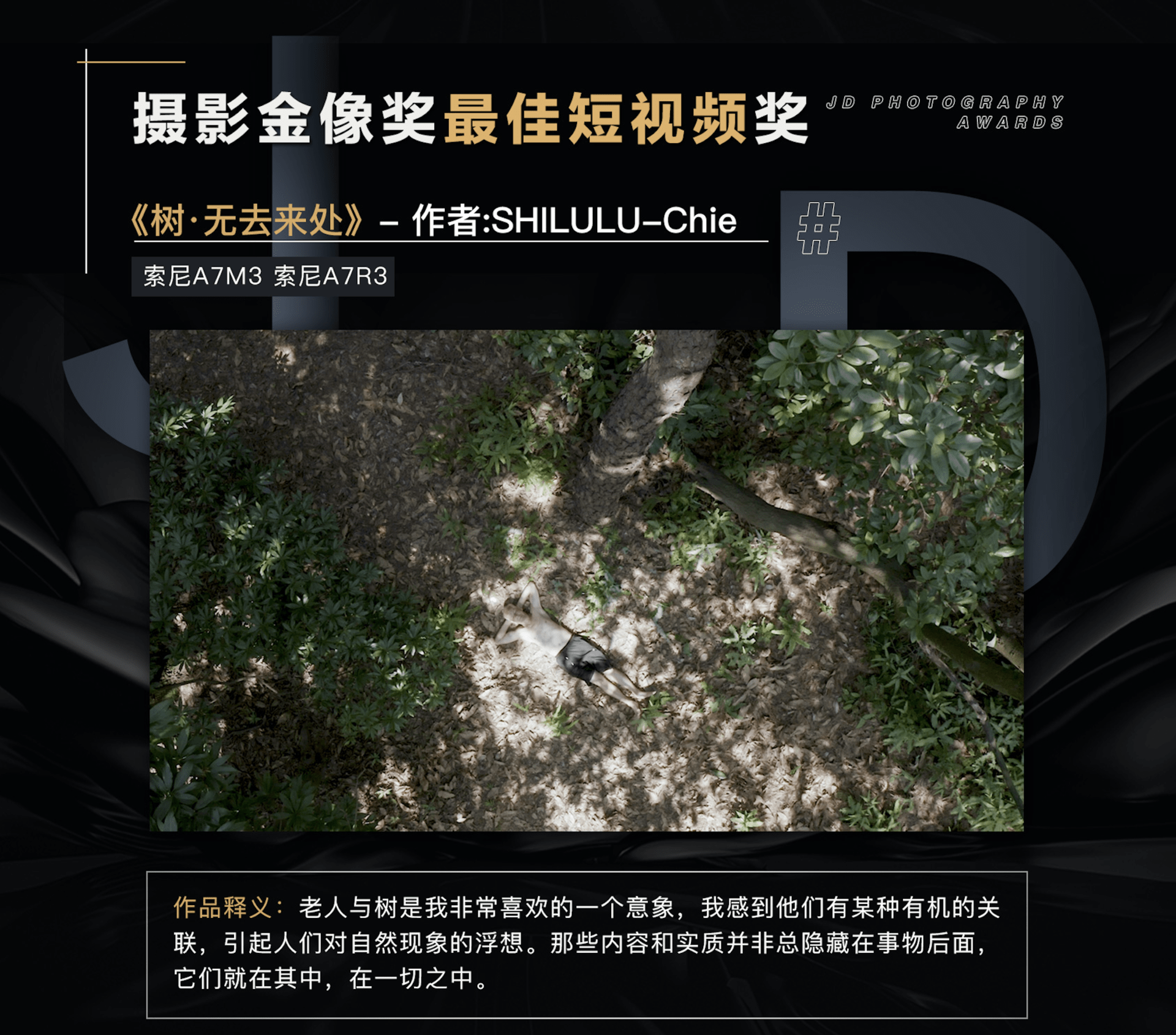 午夜无码无遮挡在线视频:13-24-29-30-38-46Q：37,午夜探索，无码无遮挡在线视频的奥秘与探索