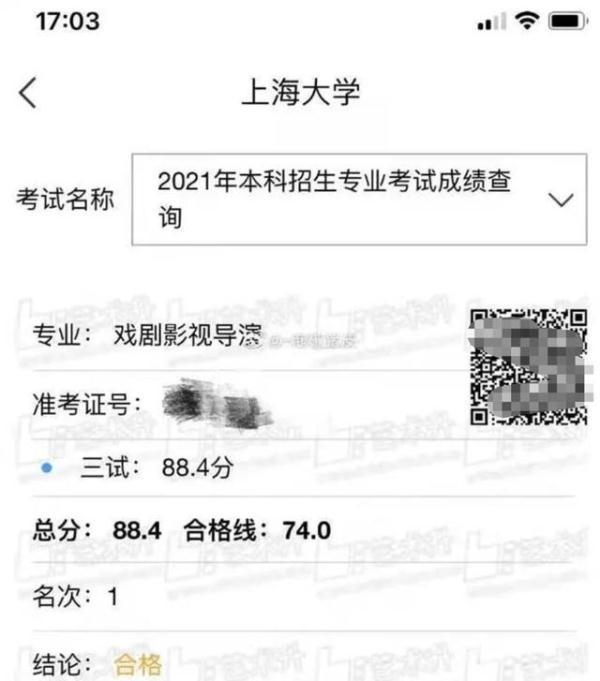 欧美一进一出抽搐大尺度视频:27-38-42-43-44-46Y：47,欧美一进一出抽搐大尺度视频，探索与反思