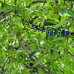 无码午夜福利院免费200集:10-26-27-28-33-45E：39,探索无码午夜福利院的温暖故事——免费剧集深度解析