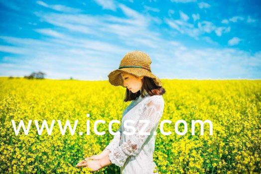 麻豆果冻传媒2021精品传媒一区:01-17-19-23-25-43W：09,麻豆果冻传媒2021精品传媒一区的独特魅力与探索