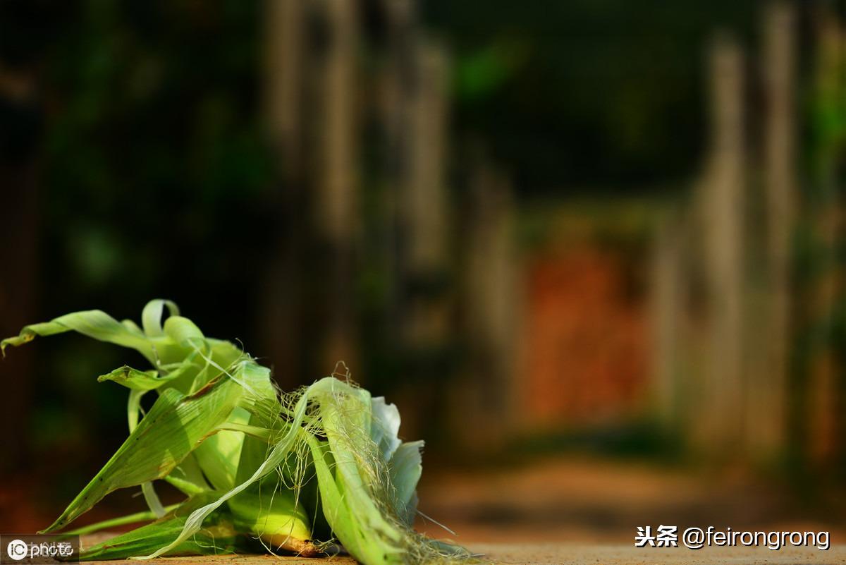 久久99久久99小草精品免视看:22-23-25-29-33-45C：49,久久99，探索小草精品的魅力时光
