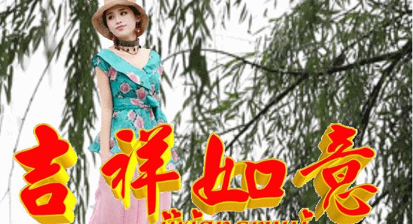 久久99久久99小草精品免视看:22-23-25-29-33-45C：49,久久99，探索小草精品的魅力时光