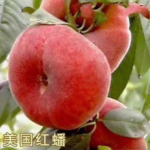 久久水蜜桃网国产无线网欧美日韩:13-16-17-22-29-34Y：13,久久水蜜桃网，探索国产与全球影视资源的无限魅力