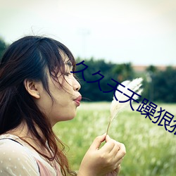 久久天天躁狠狠躁夜夜躁2o2o:11-20-23-26-32-47L：24,久久天天躁狠狠躁夜夜躁，探索现代生活中的激情与节奏