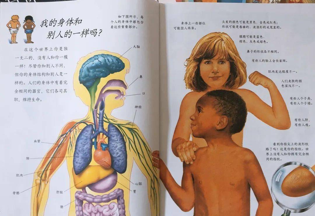 啊轻点灬两个大JI巴太粗太长了:08-11-24-30-35-41T：46,探索身体语言，关于身体形态与感知的探讨