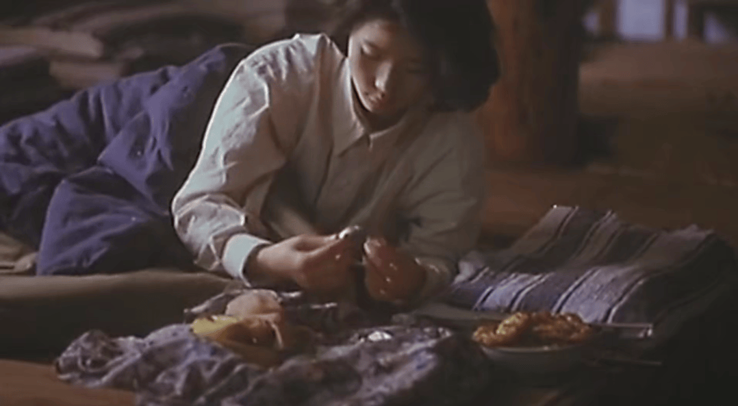 国产精品成人啪精品视频免费观看:02-24-37-40-45-49T：41,国产精品成人视频的免费观看，探索与反思