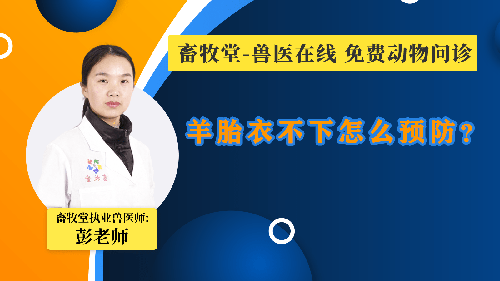 2022精品综合久久久久不卡网:06-08-26-36-38-49T：26,探索最新精品综合网站，2022久久久不卡网，体验极致的在线娱乐时光（关键词，06-08-26-36-38-49T，26）