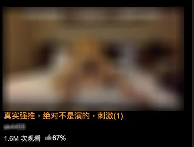 国产高清成人免费视频在线观看:05-18-33-38-46-49D：06,探索国产高清成人娱乐视频的世界，在线观看指南及体验分享