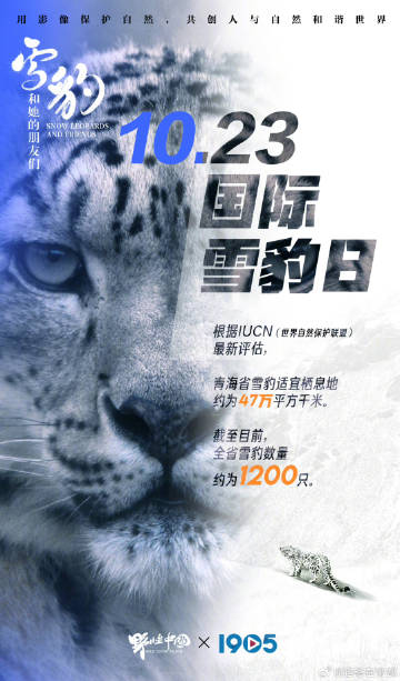 97SE狠狠狠狠狼亚洲综合网:05-07-16-30-38-45H：19,探索97SE狠狠狠狠狼亚洲综合网，一场数字世界的冒险之旅