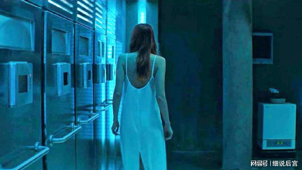 97无码免费人妻超级碰碰碰碰:03-12-18-32-33-46D：15,探索网络世界中的隐秘角落，关于97无码免费人妻超级碰碰碰碰与特定数字序列的思考