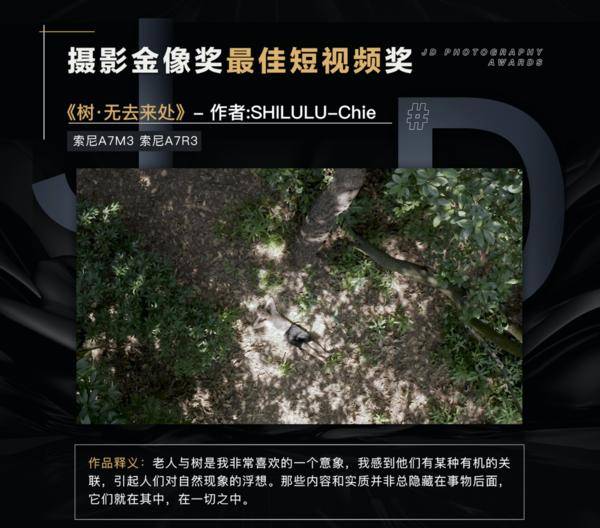国产乱人伦中文无无码视频试看:20-22-27-33-35-39S：43,国产乱人伦中文无码视频的深度探讨，现实与艺术的边界