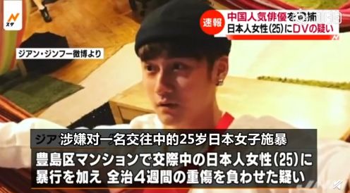 日本中文字幕一区二区高清在线:11-31-33-36-39-49P：14,探索日本影视文化，中文字幕一区二区高清在线的魅力